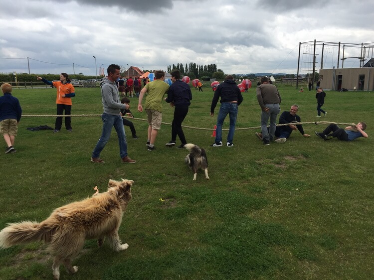 Personeelsfeest 2016 – foto 58